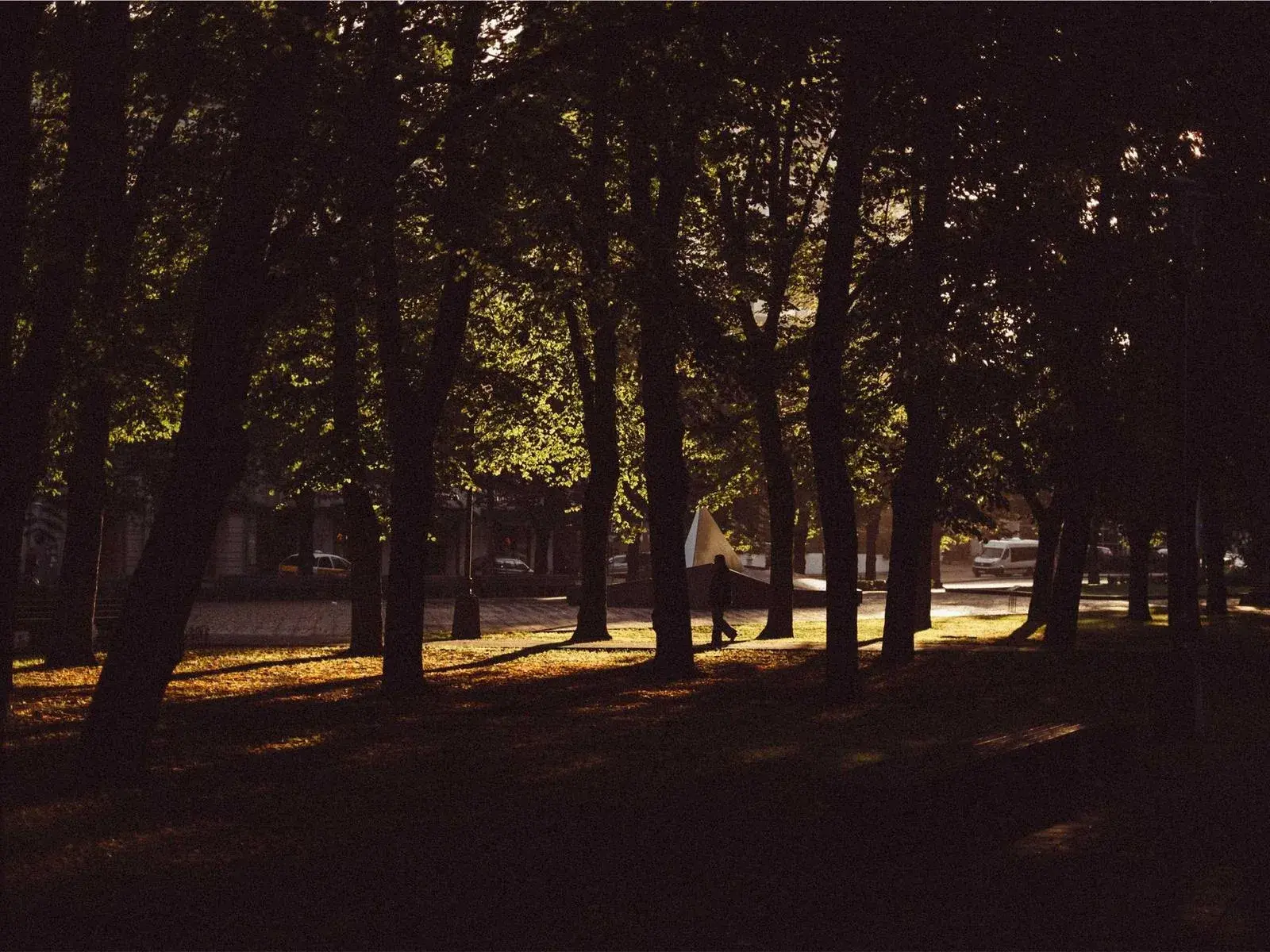 Działka budowlana 800m² Wrzosy