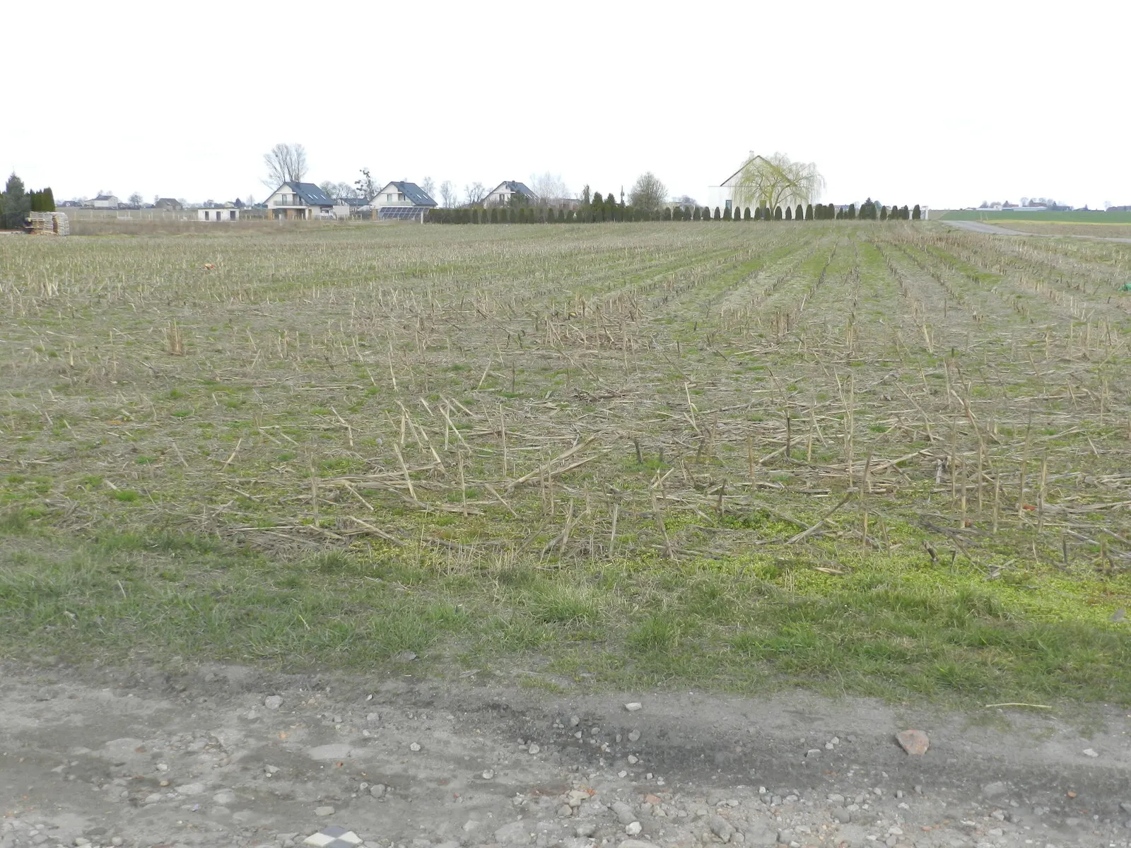 Działka 1500m2 z WZ w Pigży.